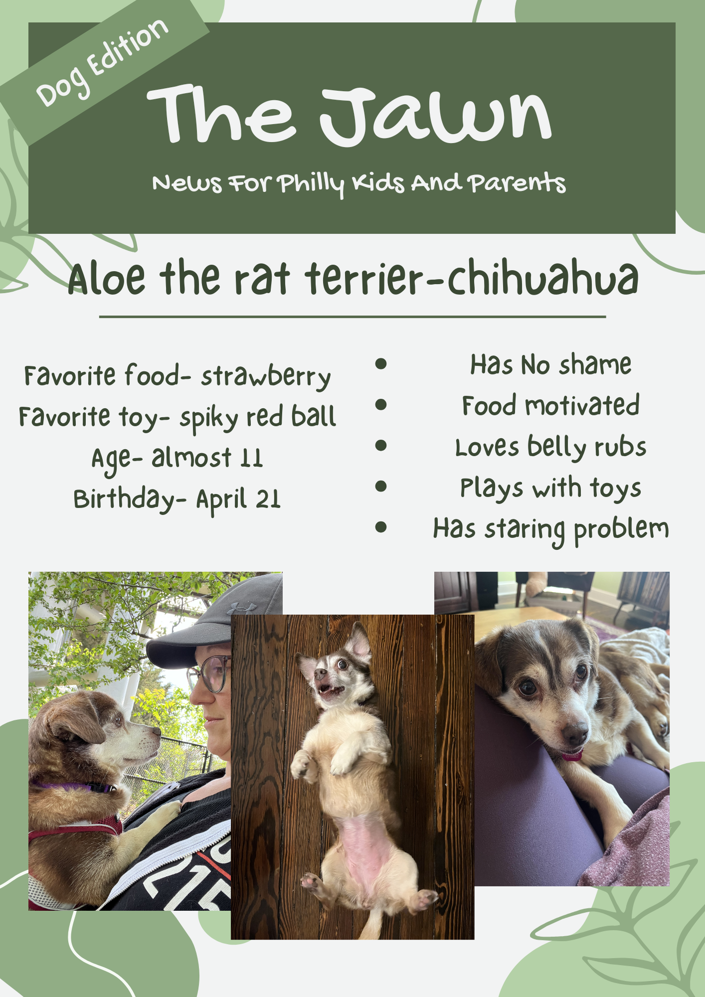 The Jawn, Issue 18, Page 1